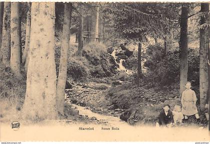 Belgique - STAVELOT (Liège) Sous bois