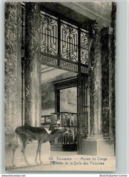 11103090 - Tervuren Tervueren