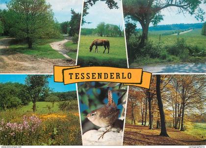 A3641 Tessenderlo views postcard
