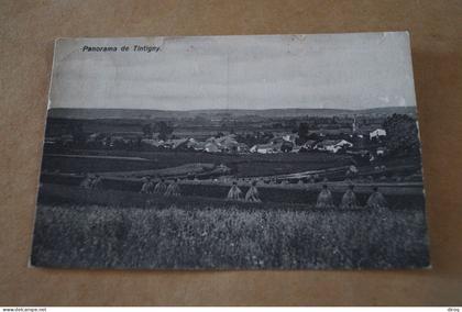 Tintigny,1910,panorama, ancienne carte postale,pour collection