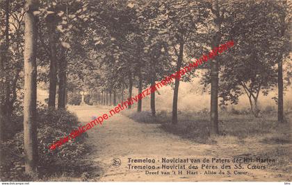 Tremeloo - Noviciaat van de Paters der HH. Harten - Tremelo