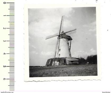 Saintes 1947 - Foto Molen - Moulin.