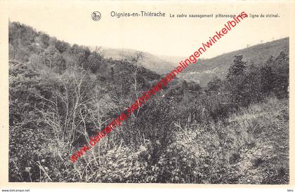 Le cadre sauvagement pittoresque de la ligne du vicinal - Oignies-en-Thiérache Viroinval