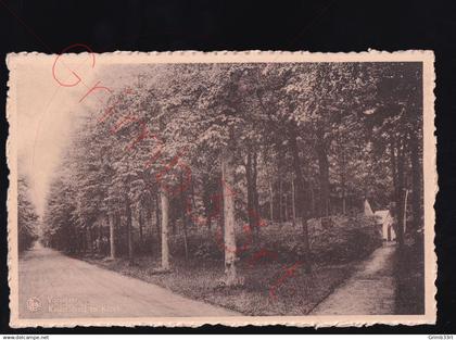 Vorselaar - Kasteeldreef en Kapel - postkaart