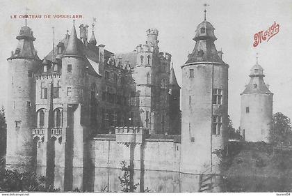 VOSSELAAR. LE CHATEAU DE VOSSELAER