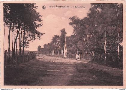 Waasmunster Heide-Waasmunster "t Berkenhof"
