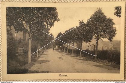 WAIMES WEISMES CP édit Delputz postée en 1928