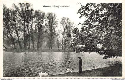 BELGIQUE - Wemmel - Etang Communal - cygne - animé - arbre - Edit J Voordecker - Carte Postale Ancienne