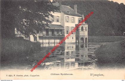 Château Byckhoven - Wyneghem - F. Hoelen - Wijnegem