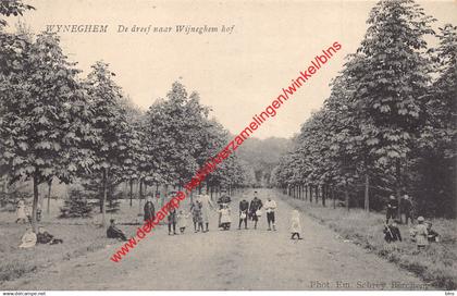 Wyneghem - De dreef naar Wyneghem hof - Wijnegem