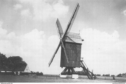 BELGIQUE - Huise - Zingem - Koutermolen - Anno 1971 - Foto Studio Claerhout - Carte Postale Ancienne