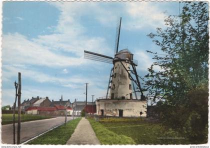 Zwevegem - Stenen Molen - & windmill