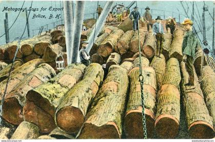 British Honduras Belize Mahogany Logs for Export