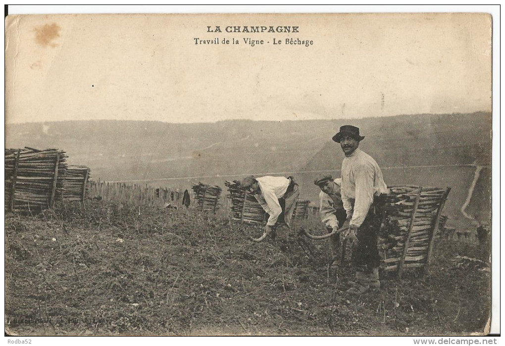Belle carte - En Champagne - Travail de la Vigne - Le Bêchage -