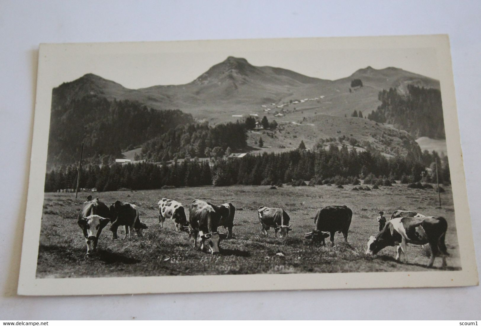 Bellevaux - les pâturages d'hirmentaz