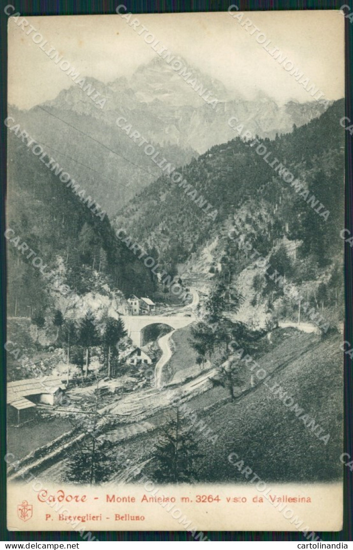 Belluno Cadore cartolina ZKM8727