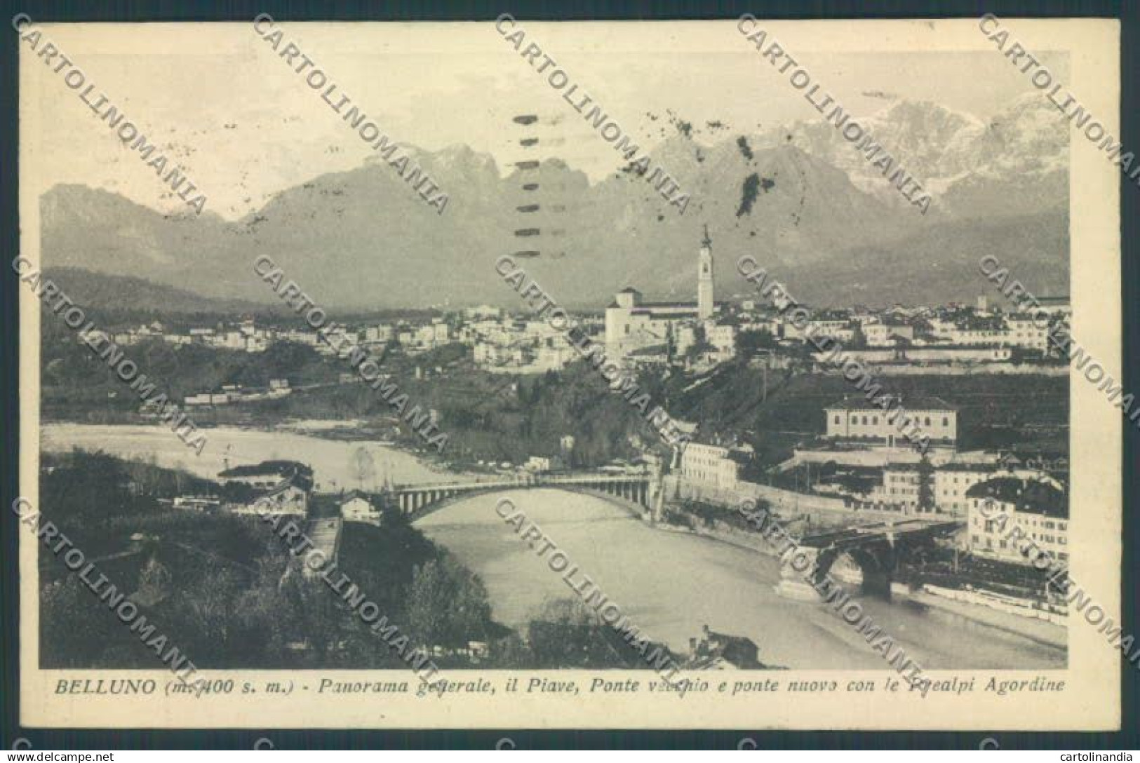 Belluno Città cartolina LQ8786