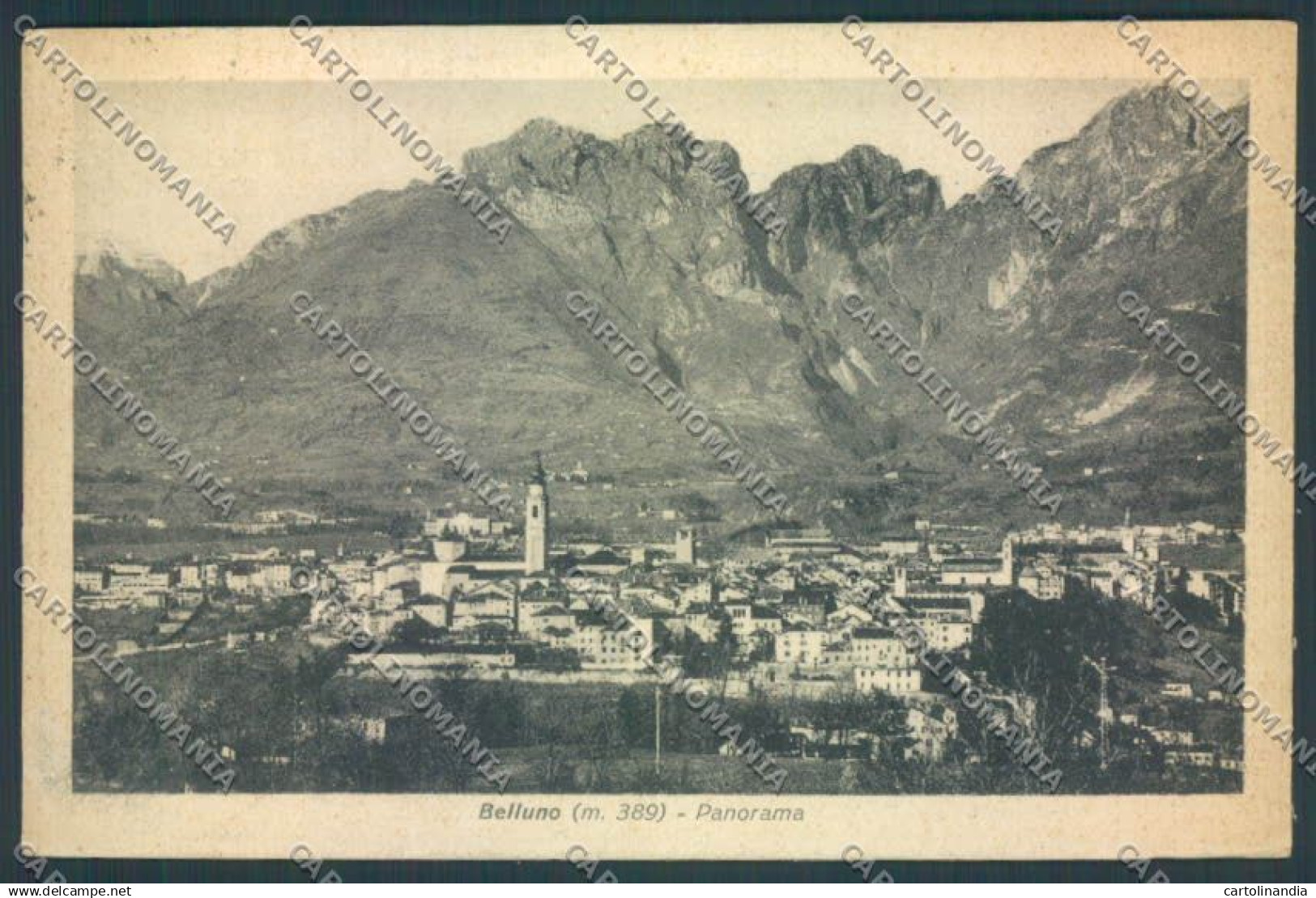 Belluno Città cartolina LQ8795