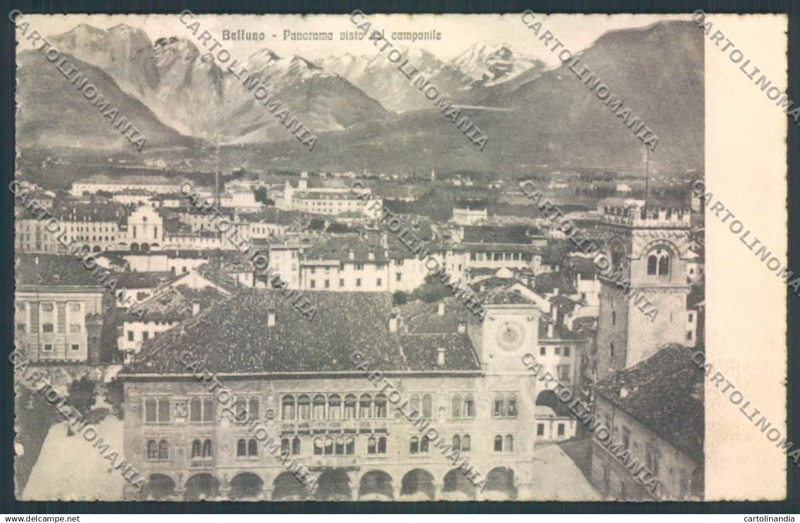 Belluno Città cartolina LQ8875