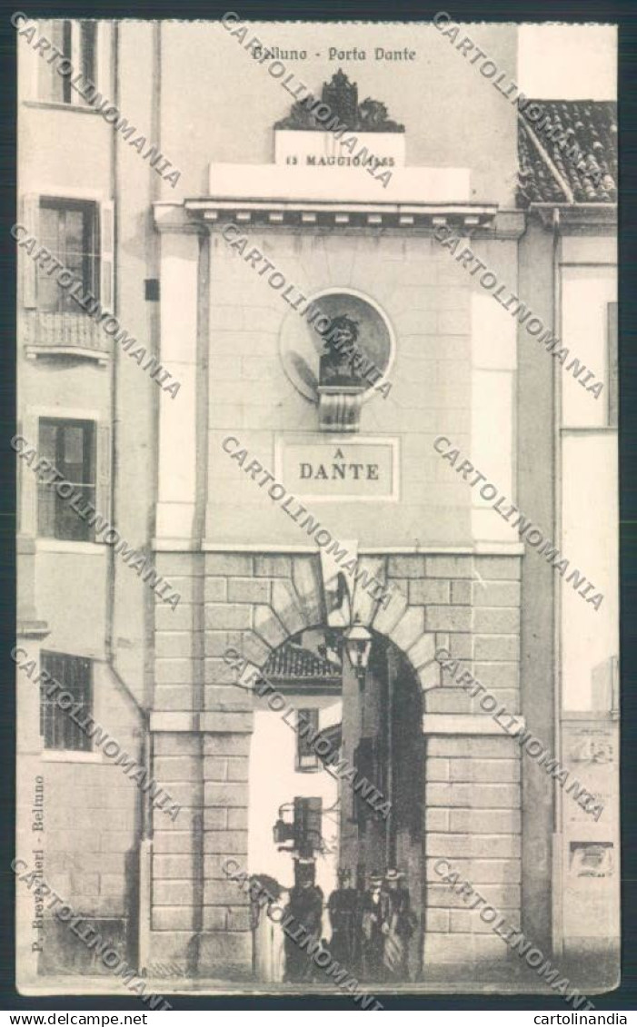 Belluno Città cartolina LQ8884