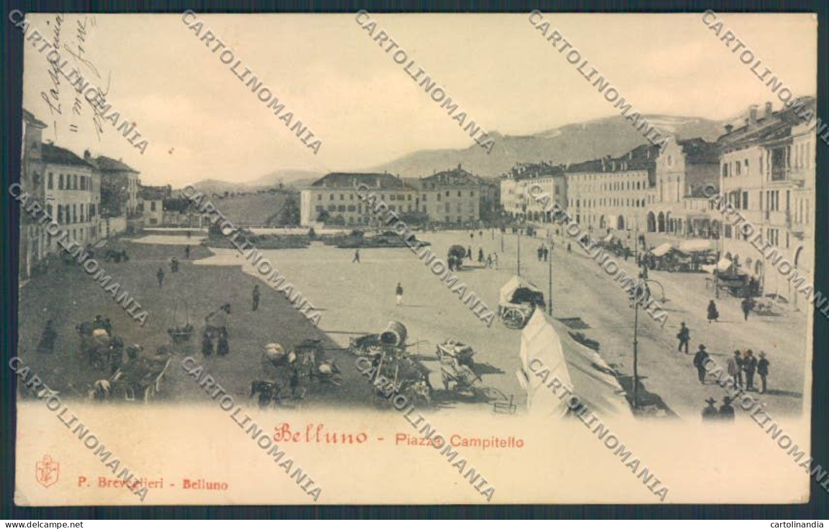 Belluno Città cartolina MV4462