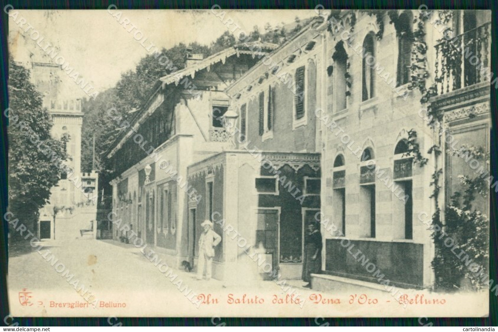 Belluno città cartolina QT1134