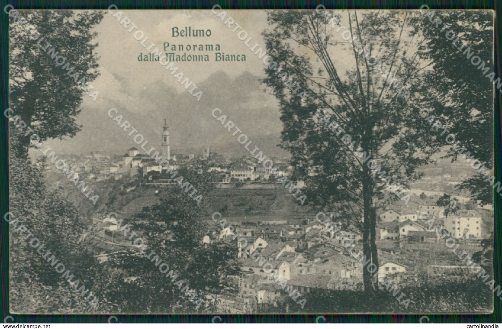 Belluno Città cartolina ZKM8672