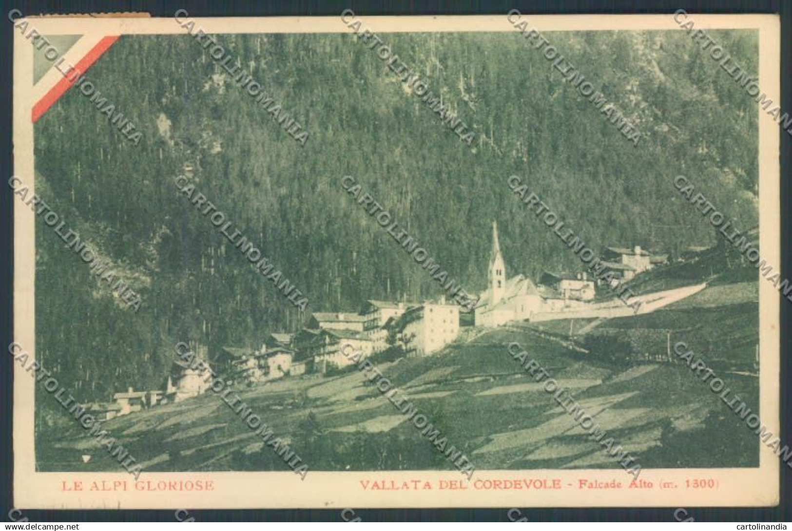 Belluno Falcade cartolina LQ9832