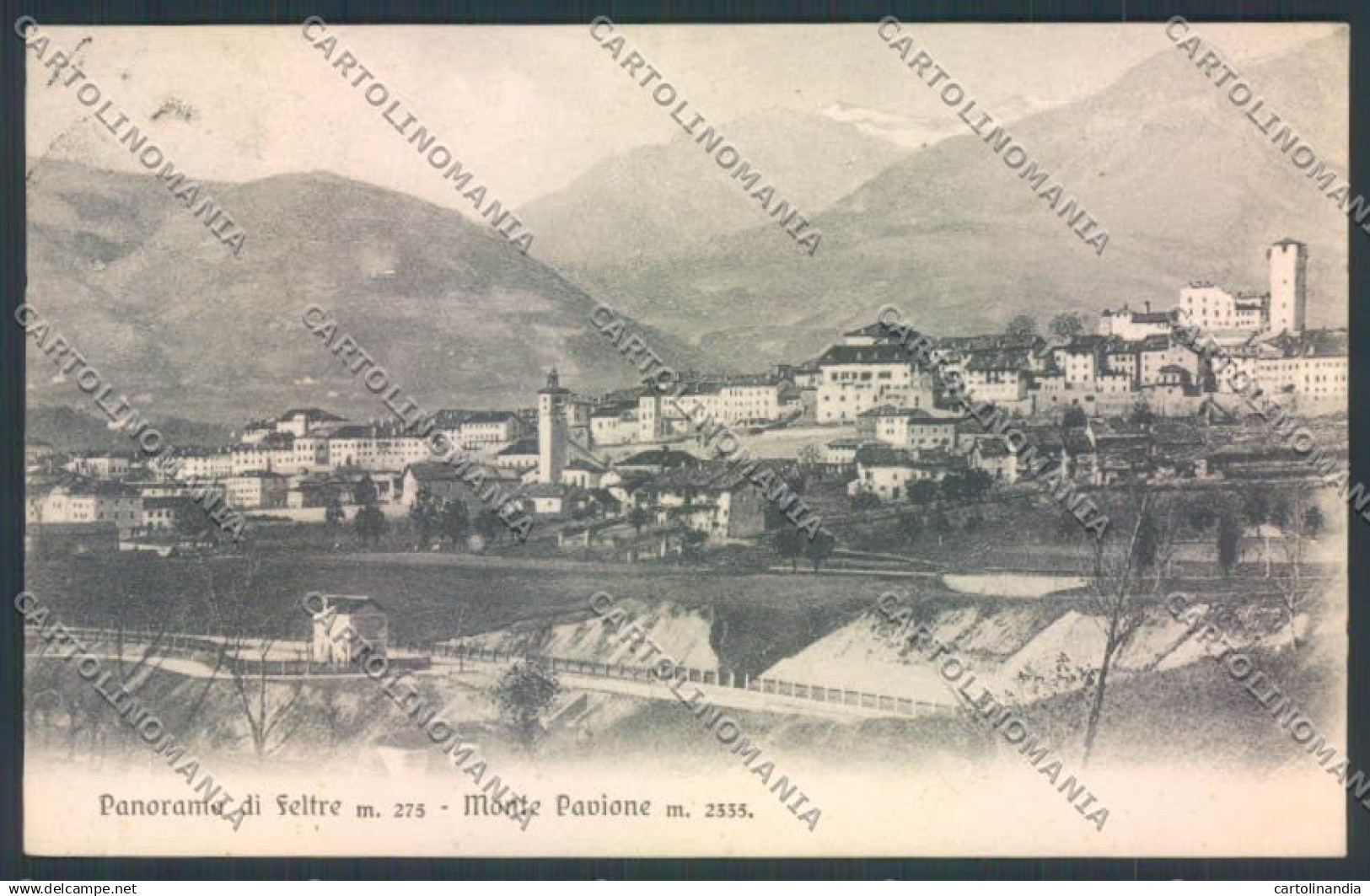 Belluno Feltre cartolina LQ9269