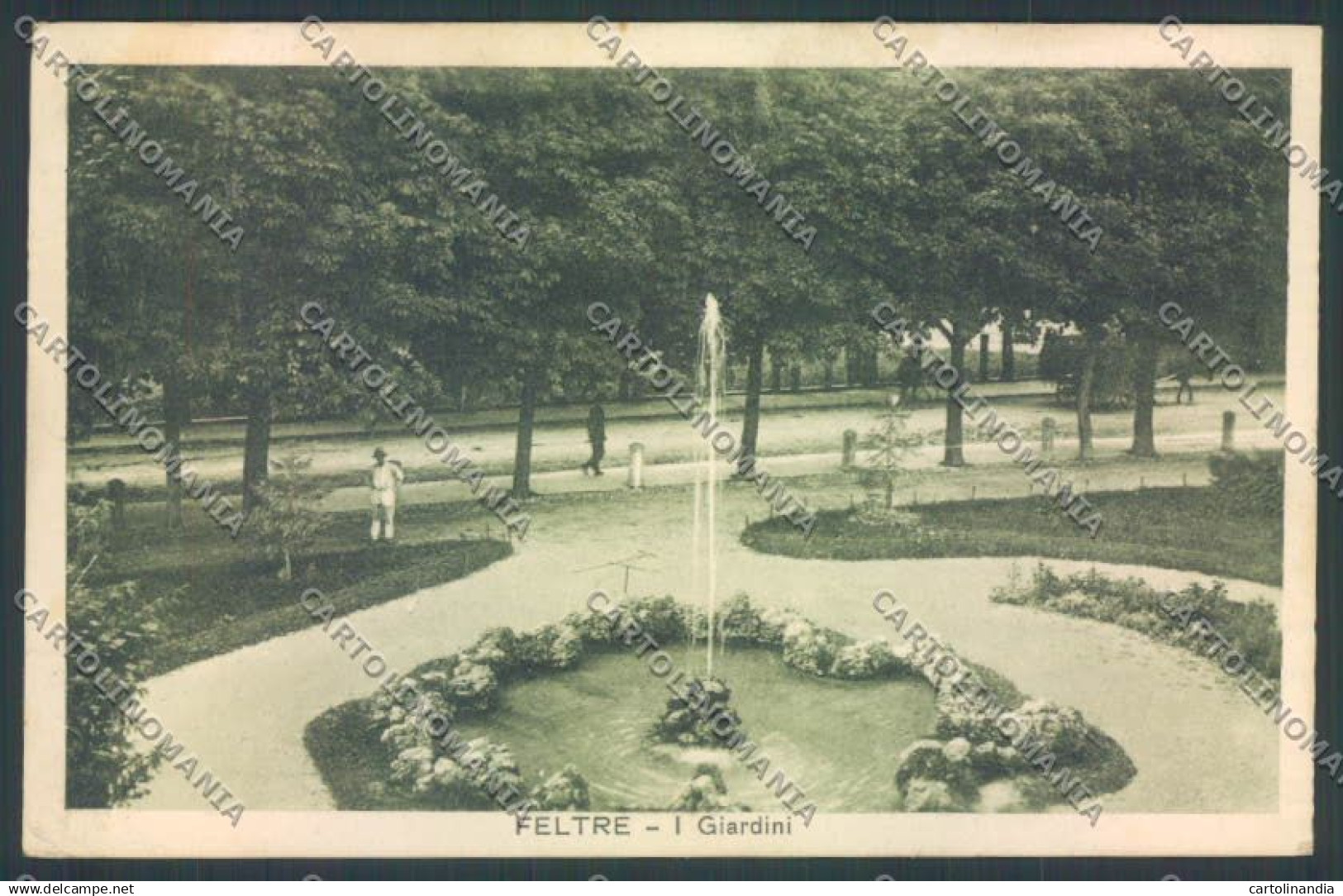 Belluno Feltre cartolina LQ9298