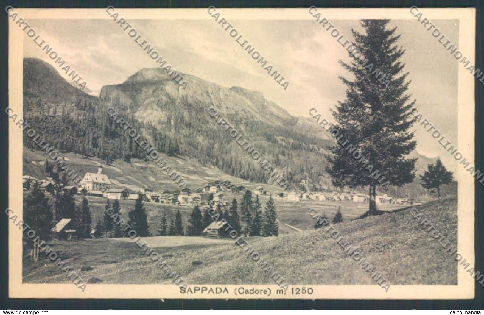Belluno Sappada cartolina LQ9316