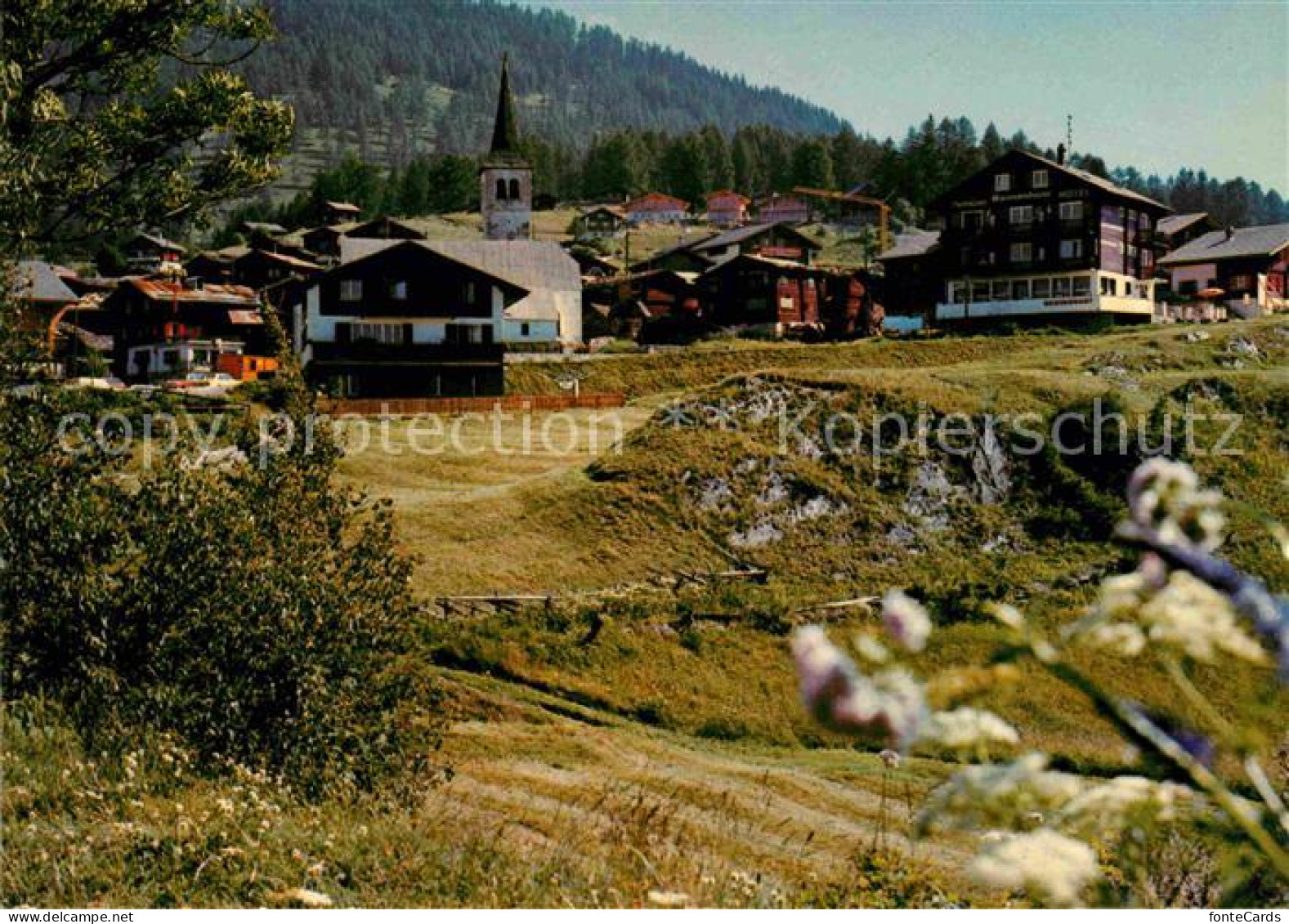 Bellwald Teilansicht