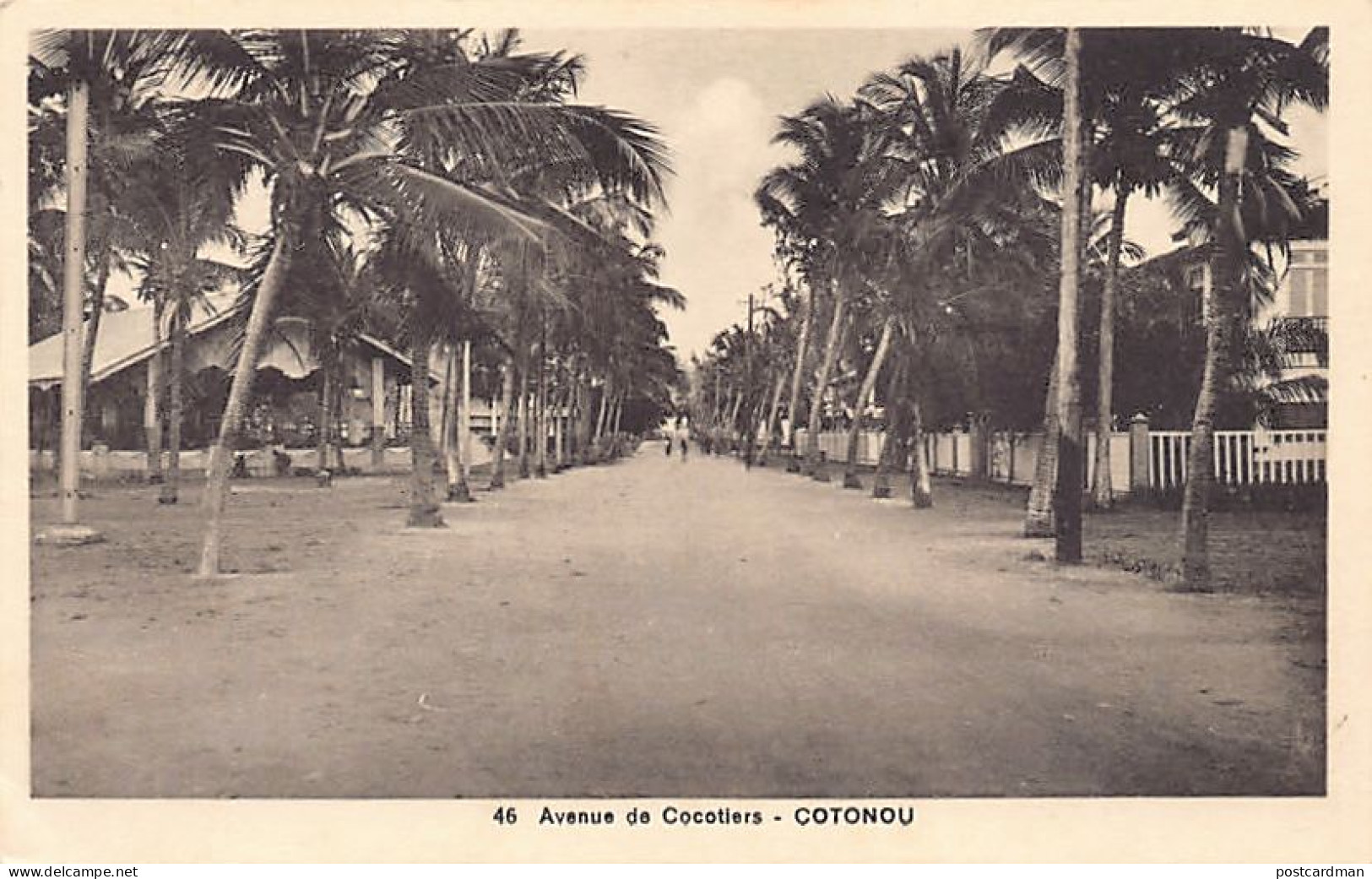 Bénin - COTONOU - Avenue de Cocotiers - Ed. Valla-Richard 46