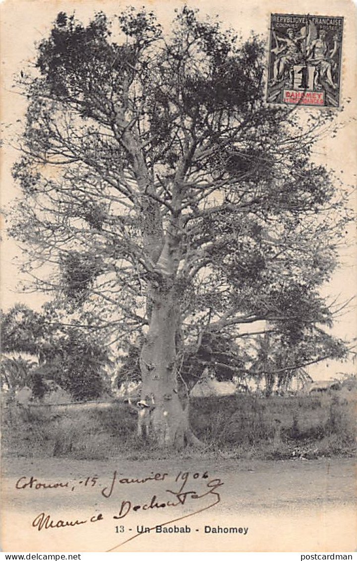 Bénin - DAHOMEY - Un baobab