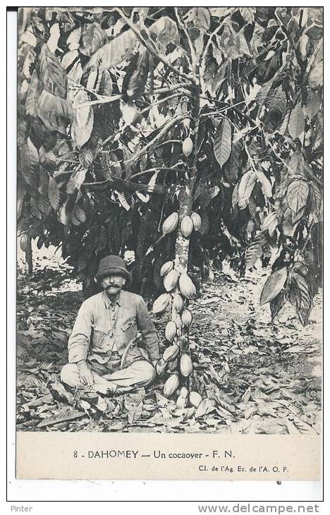 BENIN - DAHOMEY - Un cocaoyer