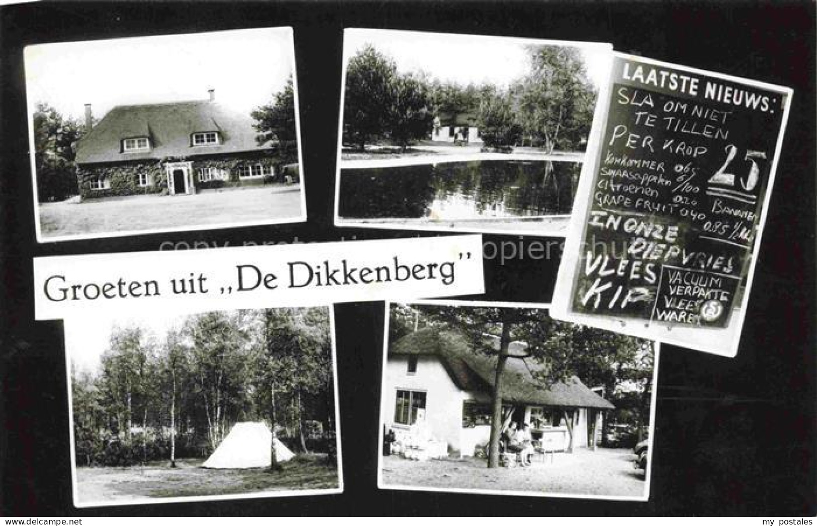 Bennekom Ede-Wageningen Renkum Gelderland NL Reetdachhaus Bungalow Campingzelt T