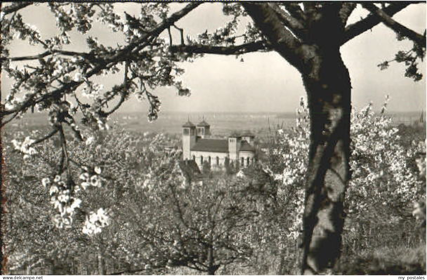 Bensheim Bergstrasse Bensheim  x 1964