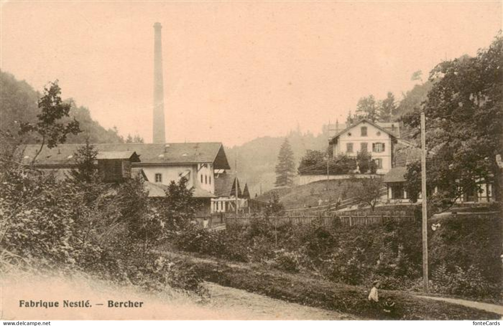 Bercher VD Fabrique Nestlé