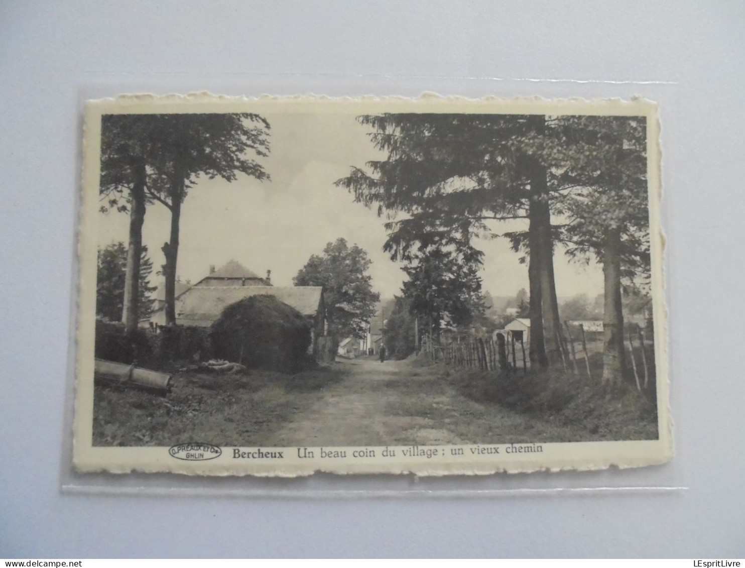BERCHEUX Un Beau Coin du Village Un Vieux Chemin Petite Animation Carte Postale AK PK CP