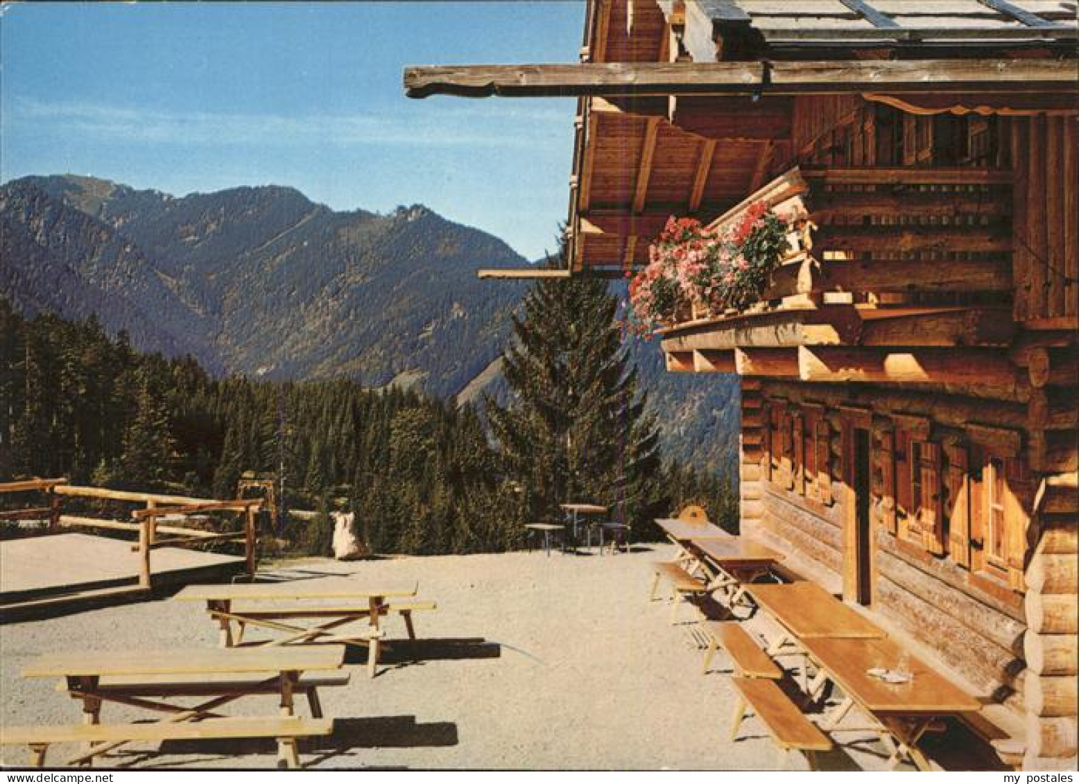 Bergen Chiemgau Raffner Alm Hochfelln Chiemgauer Alpen