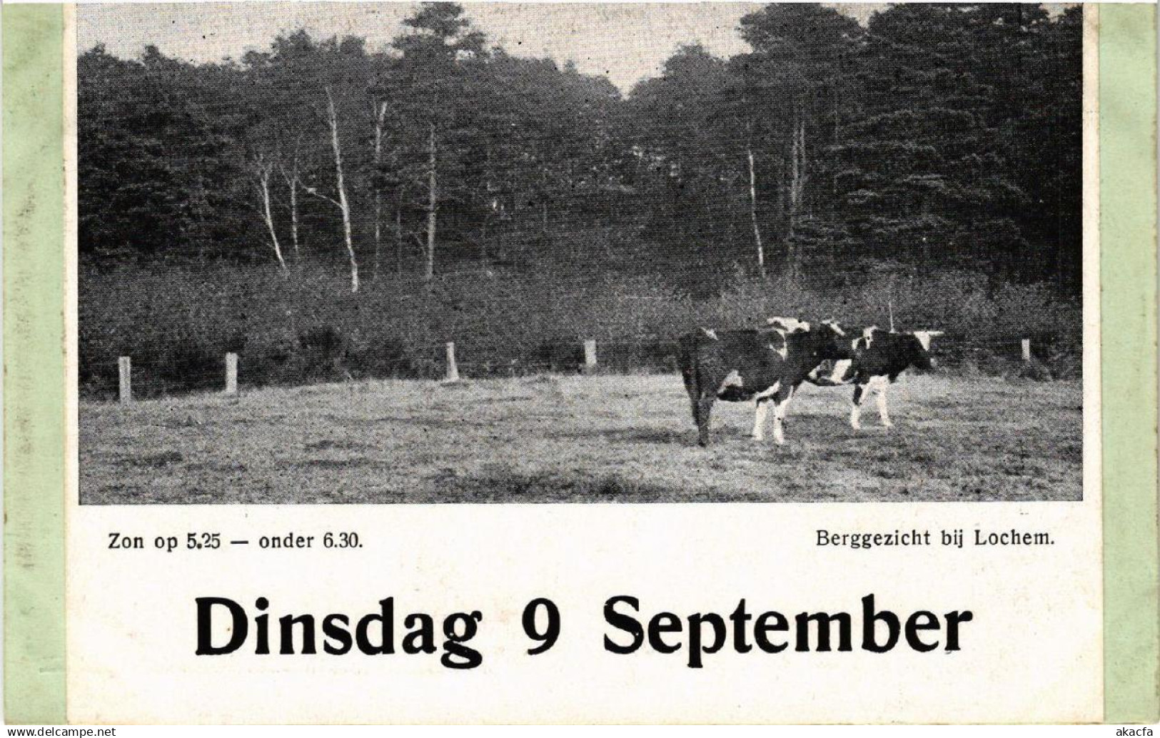 Berggezicht bij LOCHEM NETHERLANDS (603203)