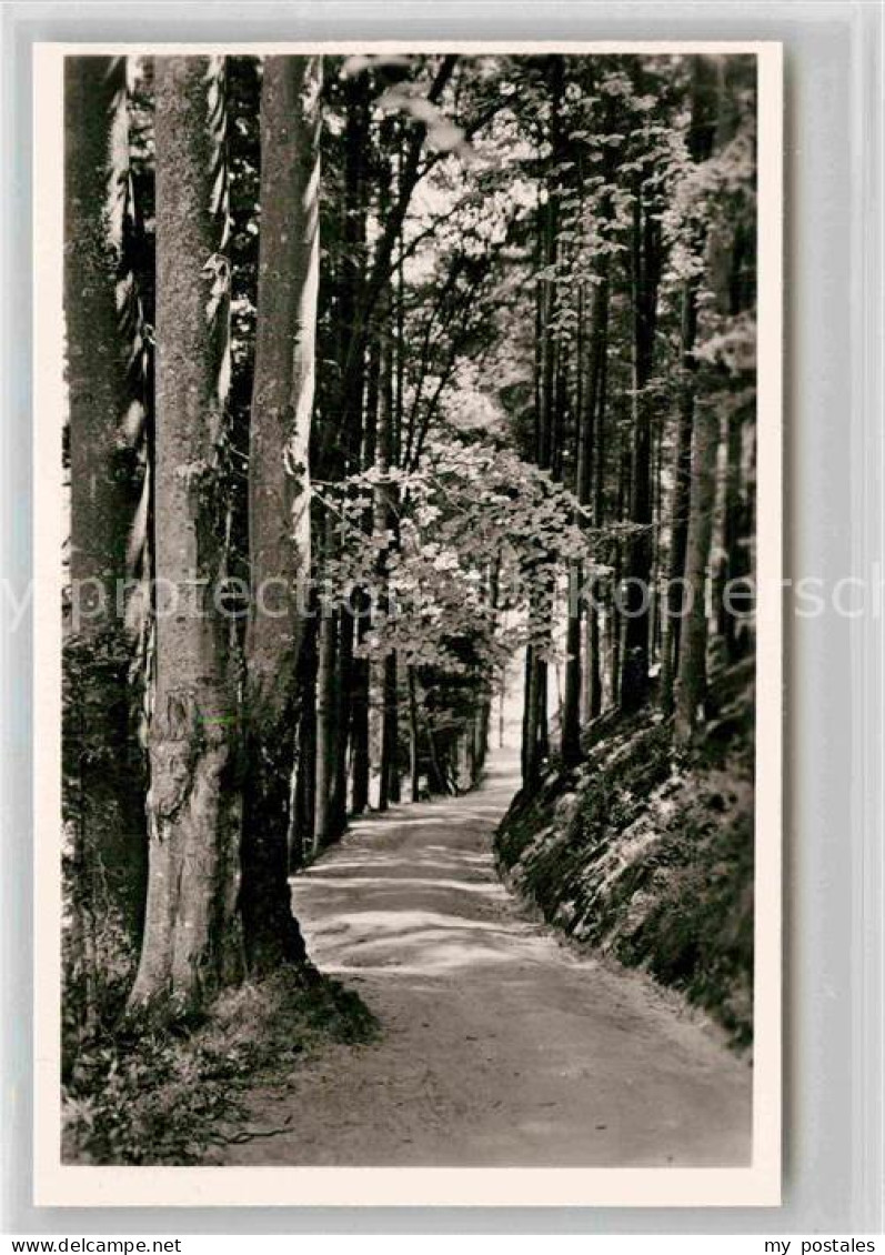 Bergzabern Bad Philosophenweg