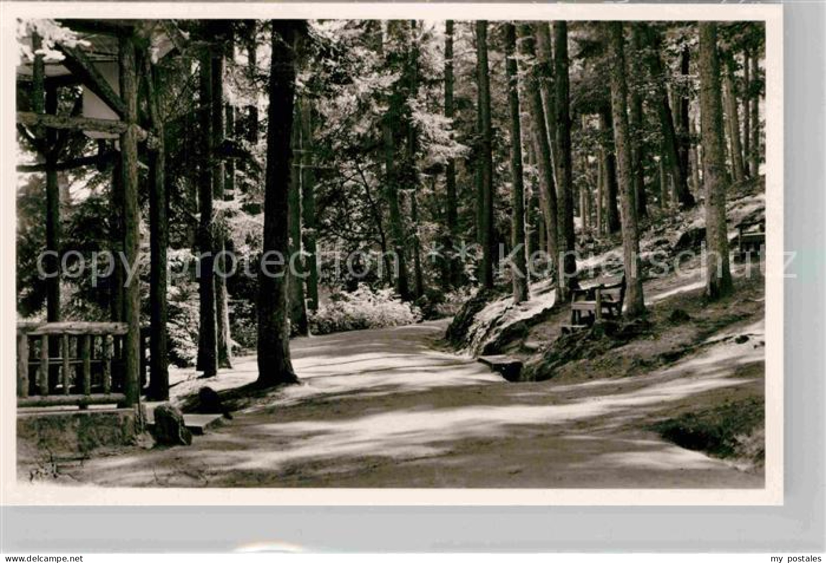 Bergzabern Bad Philosophenweg
