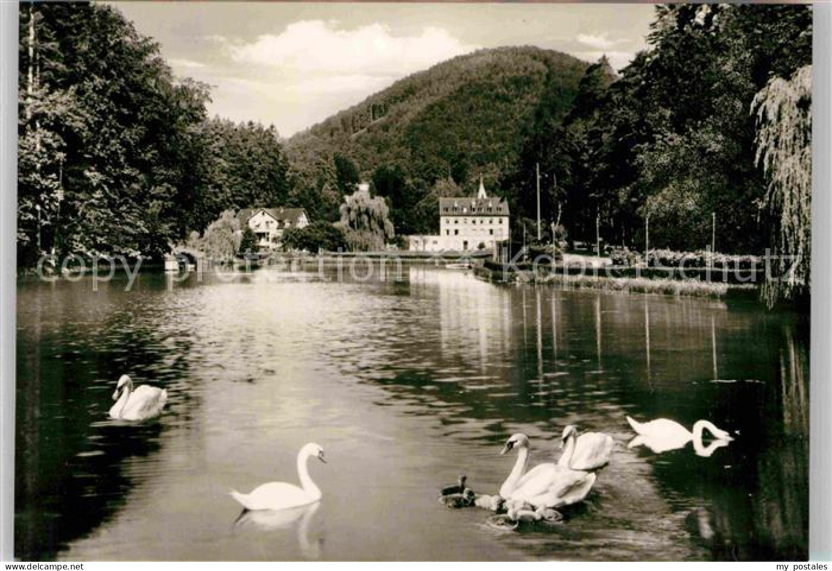 Bergzabern Bad Schwanenweiher