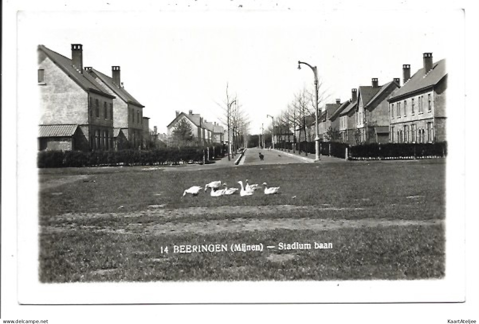 Beringen - Stadium baan.
