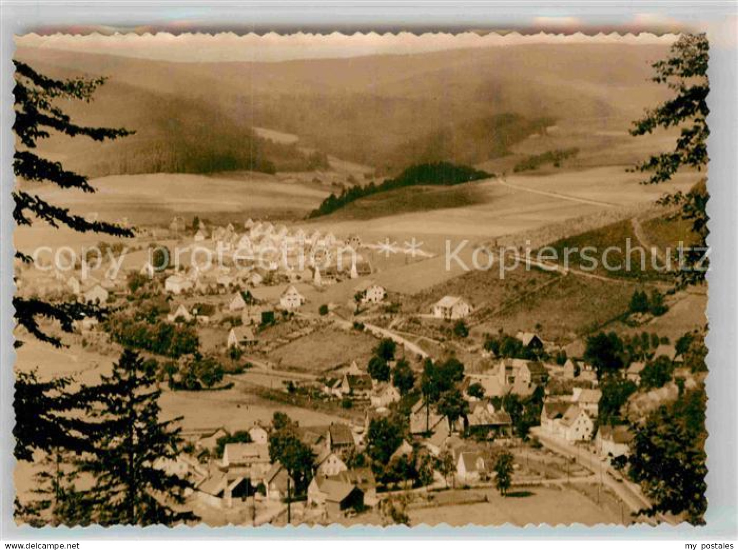 Berleburg Bad Panorama