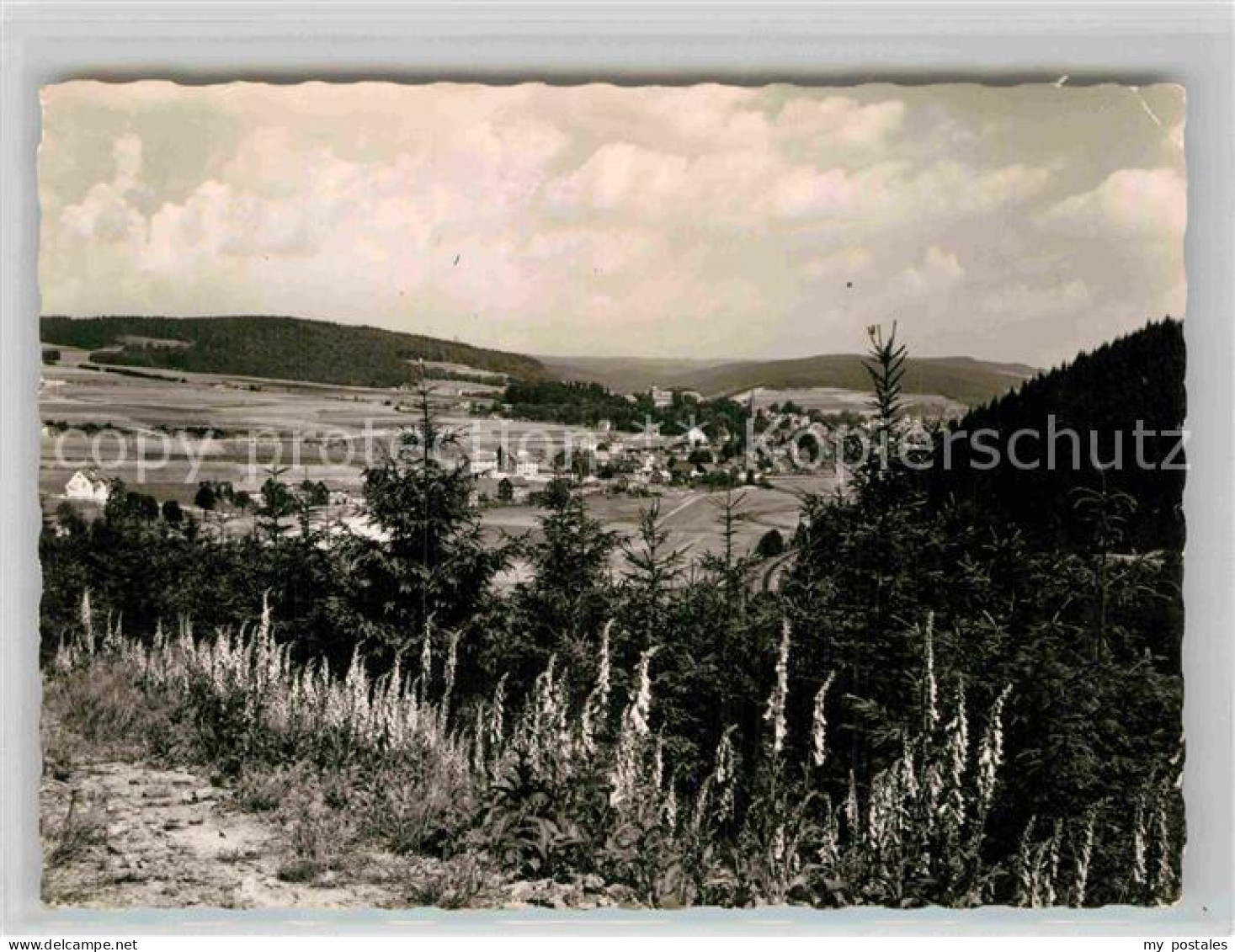 Berleburg Bad Panorama