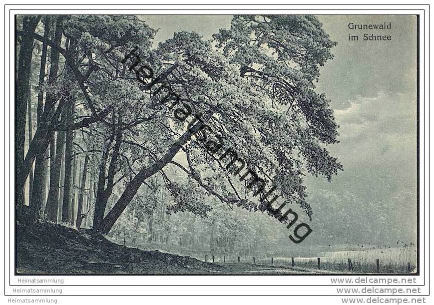 Berlin-Grunewald - Grunewald im Schnee
