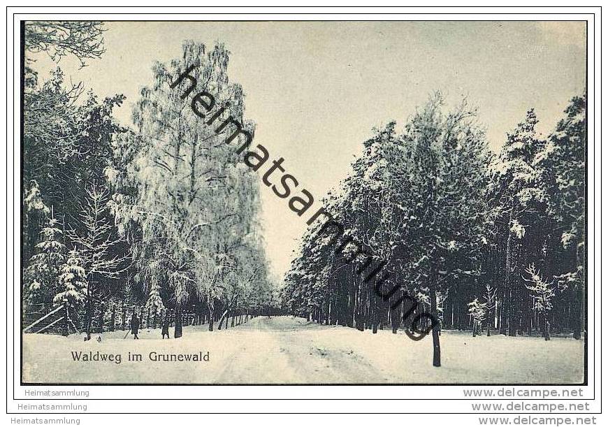 Berlin-Grunewald - Waldweg im Grunewald