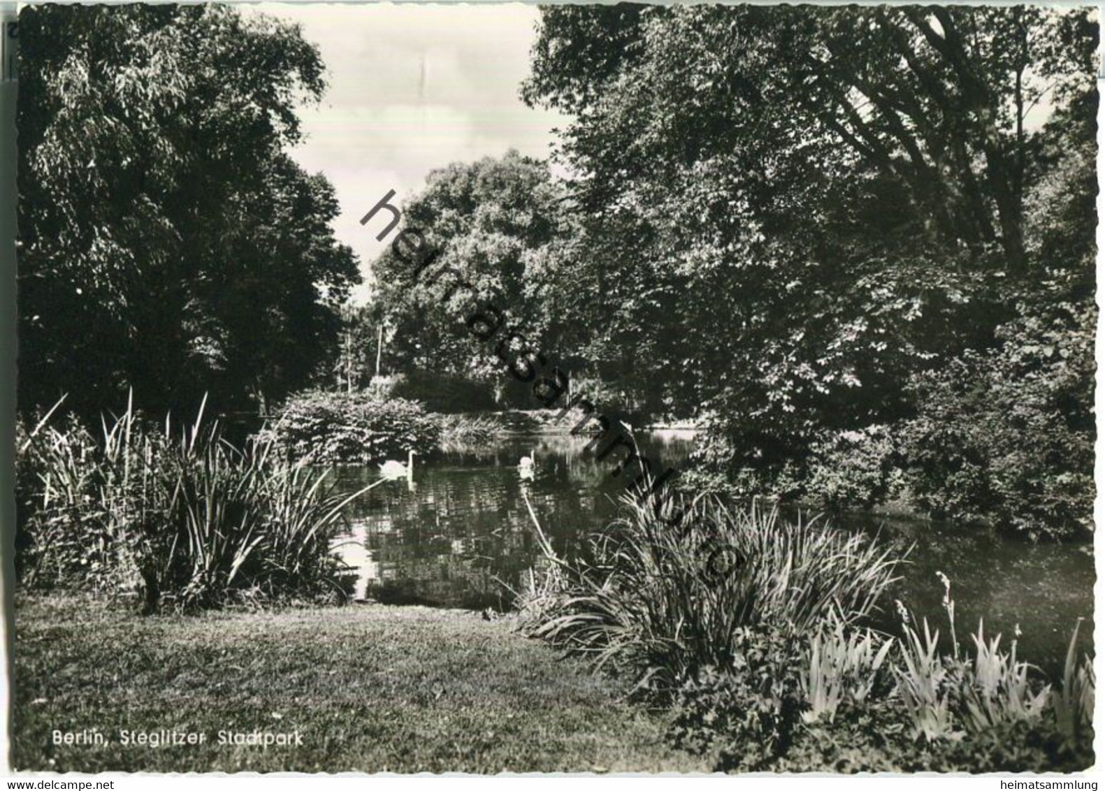 Berlin-Steglitz - Stadtpark - Foto-Ansichtskarte - Verlag Kunst und Bild Berlin